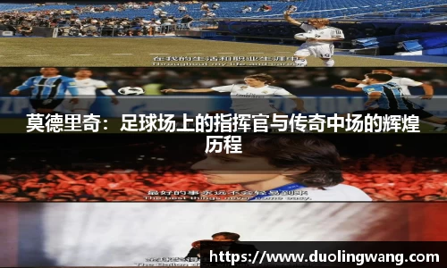 星空·综合体育官网入口